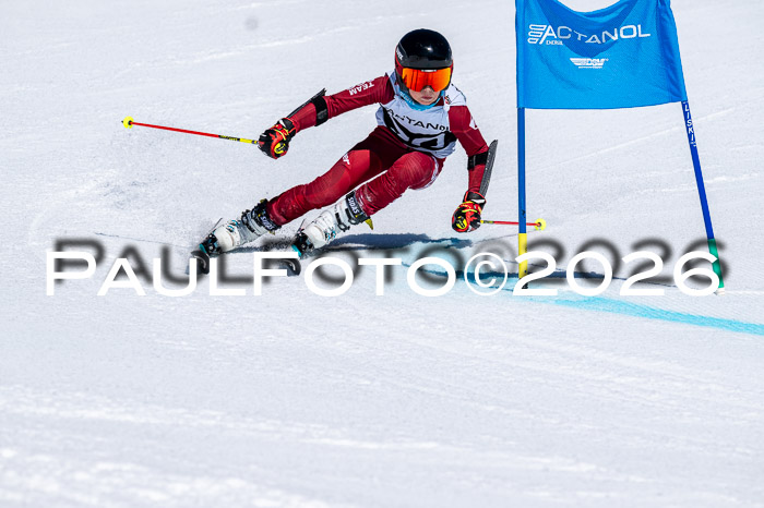 DSV - Actanol Deutscher Schülercup U12 Finale RSX 2026