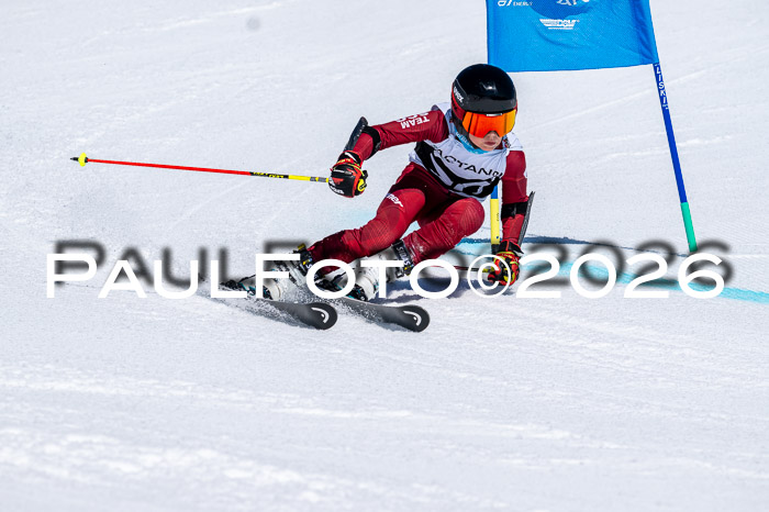 DSV - Actanol Deutscher Schülercup U12 Finale RSX 2026