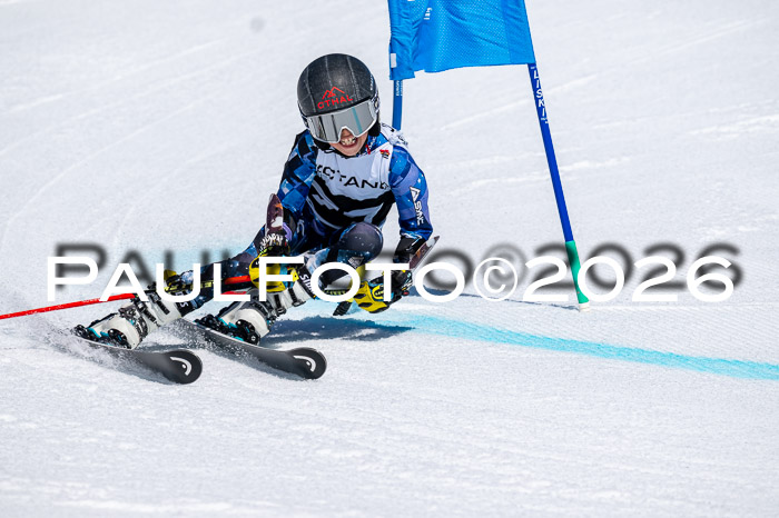 DSV - Actanol Deutscher Schülercup U12 Finale RSX 2026