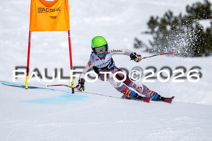 DSV - Actanol Deutscher Schülercup U12 Finale RSX 2026