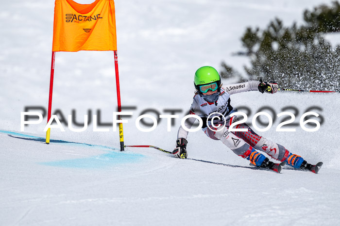 DSV - Actanol Deutscher Schülercup U12 Finale RSX 2026