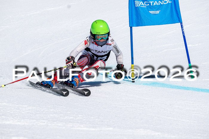 DSV - Actanol Deutscher Schülercup U12 Finale RSX 2026