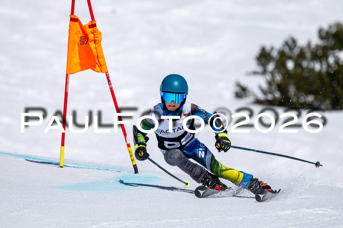 DSV - Actanol Deutscher Schülercup U12 Finale RSX 2026