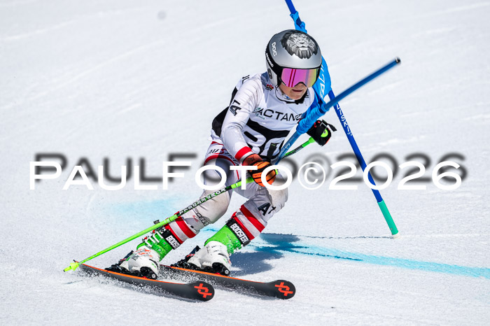 DSV - Actanol Deutscher Schülercup U12 Finale RSX 2026