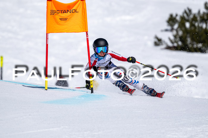 DSV - Actanol Deutscher Schülercup U12 Finale RSX 2026