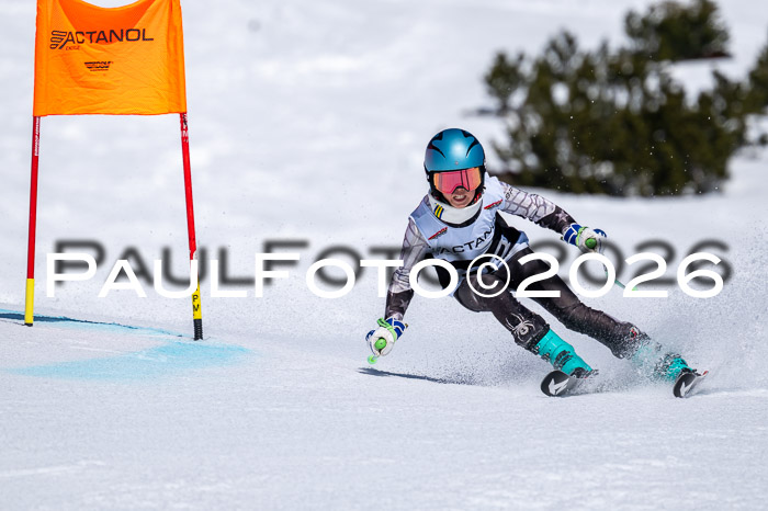 DSV - Actanol Deutscher Schülercup U12 Finale RSX 2026