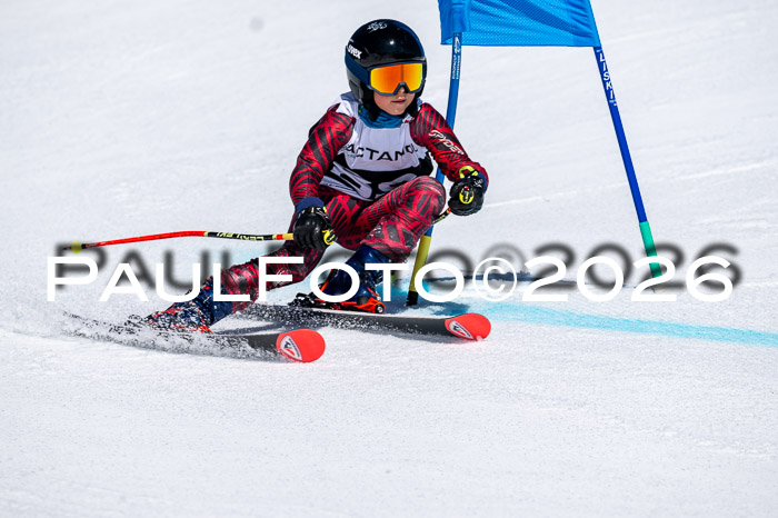 DSV - Actanol Deutscher Schülercup U12 Finale RSX 2026