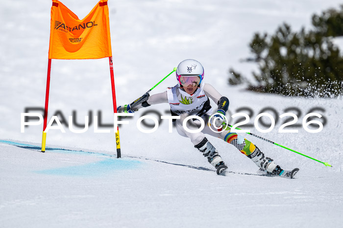 DSV - Actanol Deutscher Schülercup U12 Finale RSX 2026
