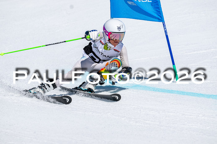 DSV - Actanol Deutscher Schülercup U12 Finale RSX 2026