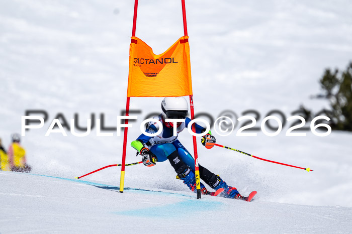 DSV - Actanol Deutscher Schülercup U12 Finale RSX 2026