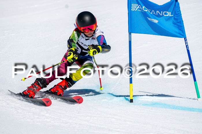DSV - Actanol Deutscher Schülercup U12 Finale RSX 2026