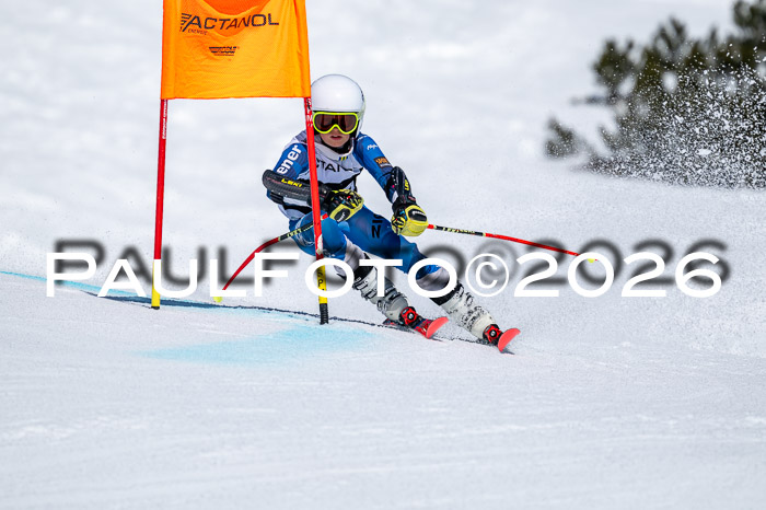 DSV - Actanol Deutscher Schülercup U12 Finale RSX 2026