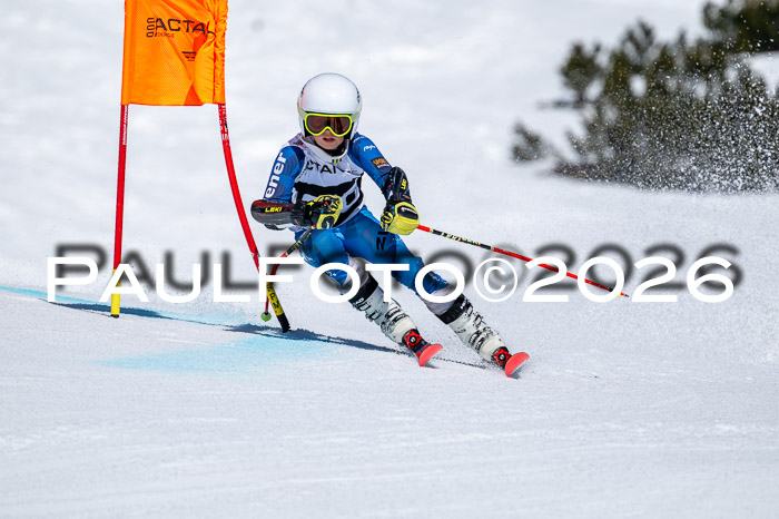 DSV - Actanol Deutscher Schülercup U12 Finale RSX 2026