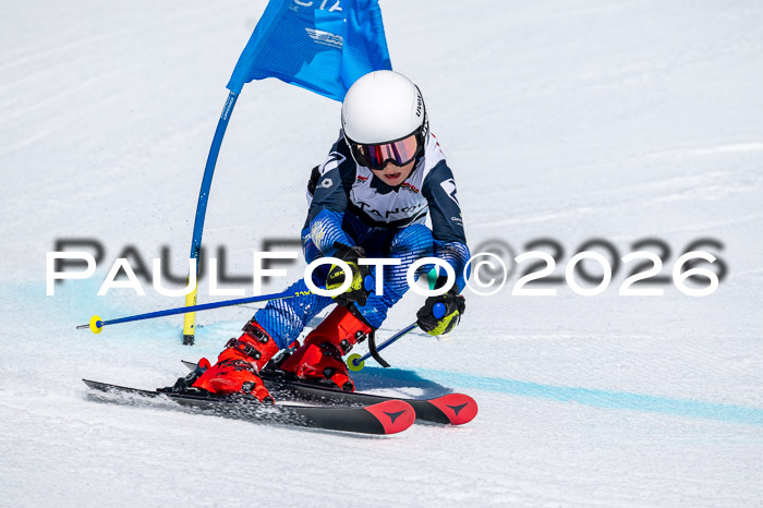 DSV - Actanol Deutscher Schülercup U12 Finale RSX 2026