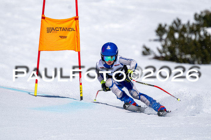 DSV - Actanol Deutscher Schülercup U12 Finale RSX 2026