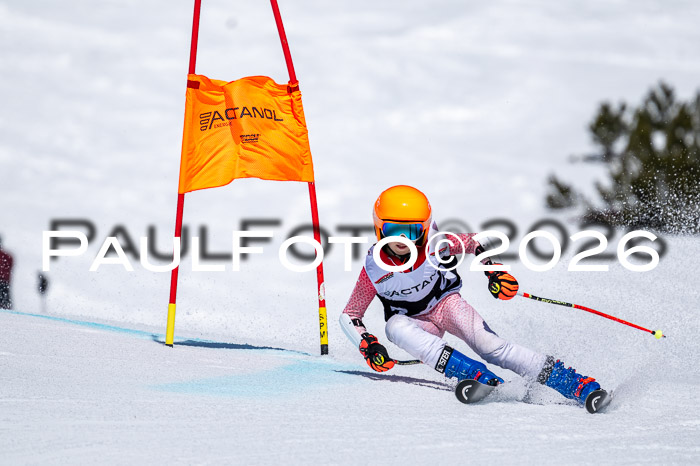 DSV - Actanol Deutscher Schülercup U12 Finale RSX 2026