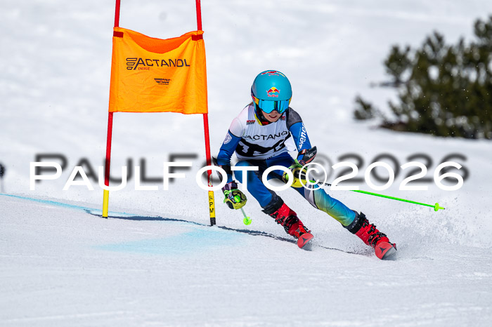DSV - Actanol Deutscher Schülercup U12 Finale RSX 2026