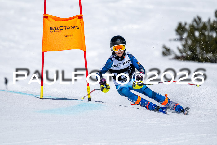 DSV - Actanol Deutscher Schülercup U12 Finale RSX 2026