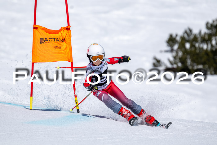 DSV - Actanol Deutscher Schülercup U12 Finale RSX 2026