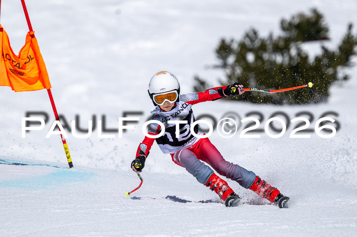 DSV - Actanol Deutscher Schülercup U12 Finale RSX 2026