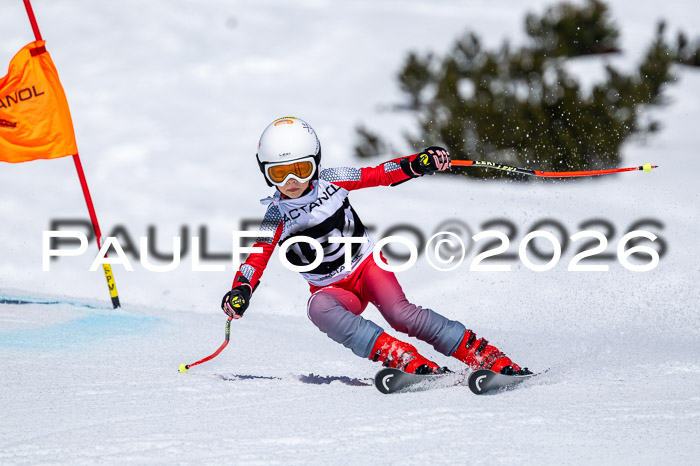 DSV - Actanol Deutscher Schülercup U12 Finale RSX 2026