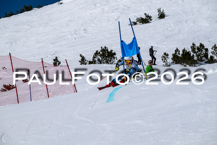 DSV - Actanol Deutscher Schülercup U12 Finale RSX 2026