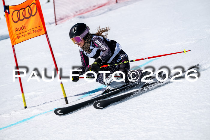 DSV - Actanol Deutscher Schülercup U12 Finale RSX 2026