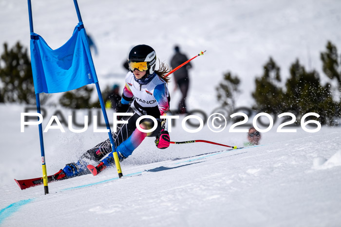 DSV - Actanol Deutscher Schülercup U12 Finale RSX 2026