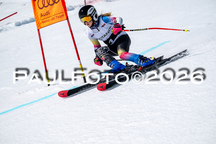 DSV - Actanol Deutscher Schülercup U12 Finale RSX 2026