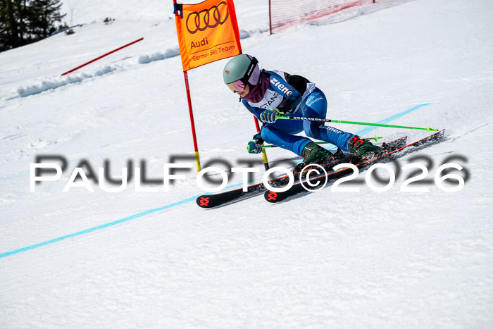 DSV - Actanol Deutscher Schülercup U12 Finale RSX 2026