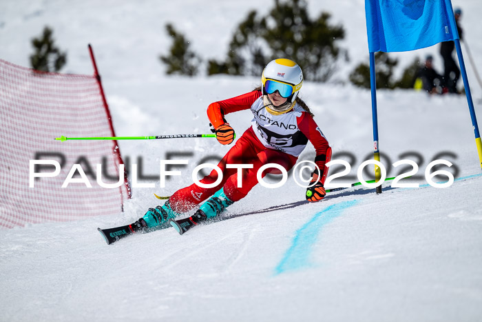 DSV - Actanol Deutscher Schülercup U12 Finale RSX 2026