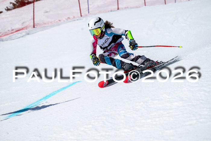 DSV - Actanol Deutscher Schülercup U12 Finale RSX 2026