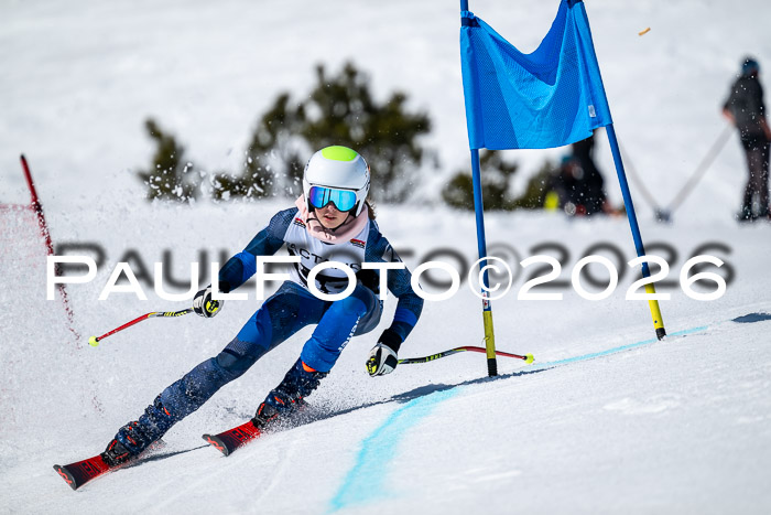 DSV - Actanol Deutscher Schülercup U12 Finale RSX 2026