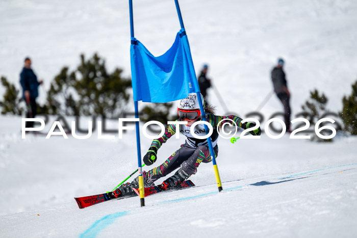 DSV - Actanol Deutscher Schülercup U12 Finale RSX 2026
