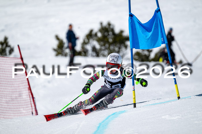 DSV - Actanol Deutscher Schülercup U12 Finale RSX 2026