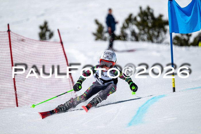 DSV - Actanol Deutscher Schülercup U12 Finale RSX 2026