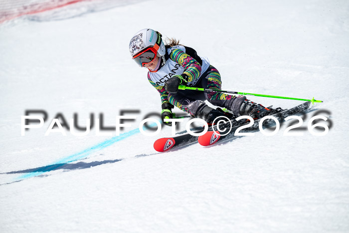 DSV - Actanol Deutscher Schülercup U12 Finale RSX 2026