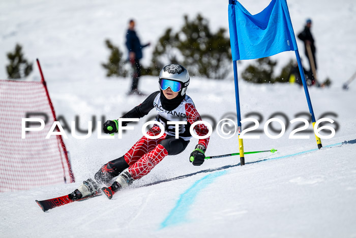 DSV - Actanol Deutscher Schülercup U12 Finale RSX 2026