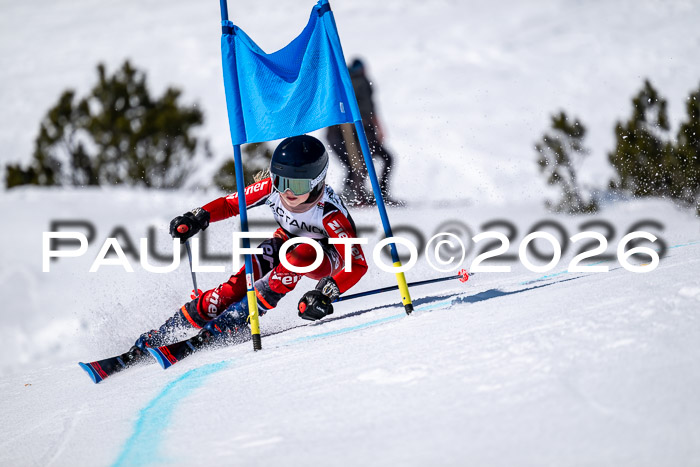 DSV - Actanol Deutscher Schülercup U12 Finale RSX 2026