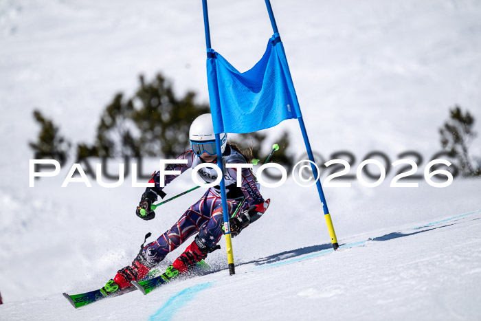 DSV - Actanol Deutscher Schülercup U12 Finale RSX 2026