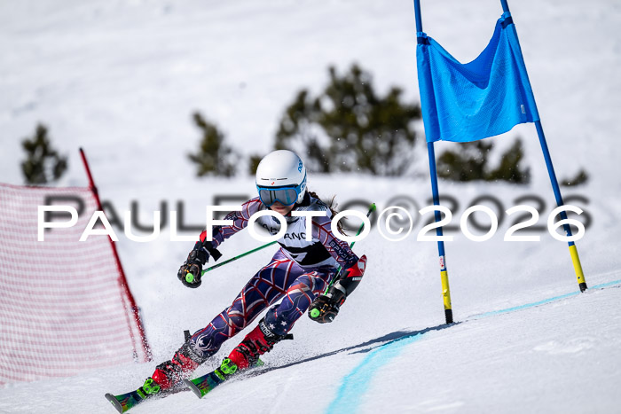 DSV - Actanol Deutscher Schülercup U12 Finale RSX 2026