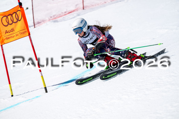 DSV - Actanol Deutscher Schülercup U12 Finale RSX 2026