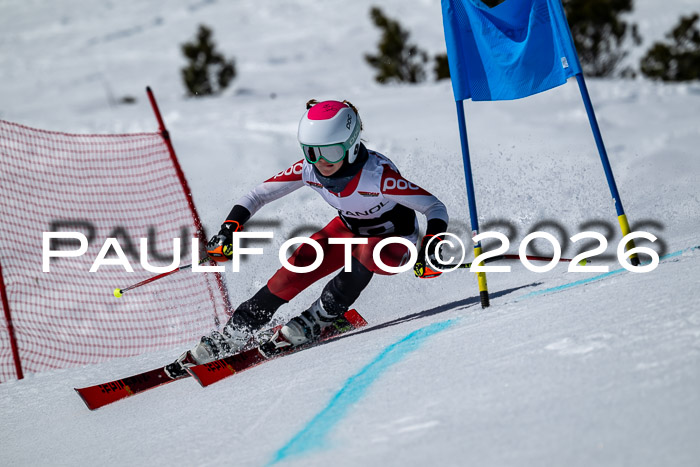 DSV - Actanol Deutscher Schülercup U12 Finale RSX 2026