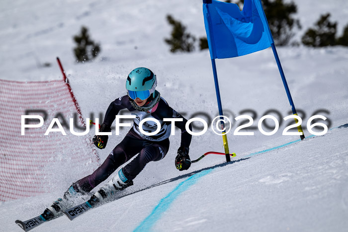 DSV - Actanol Deutscher Schülercup U12 Finale RSX 2026