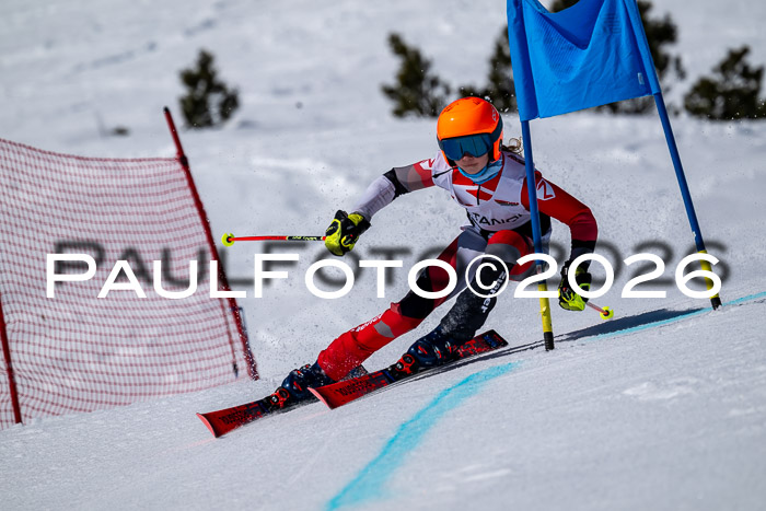 DSV - Actanol Deutscher Schülercup U12 Finale RSX 2026