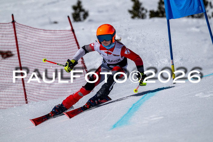 DSV - Actanol Deutscher Schülercup U12 Finale RSX 2026