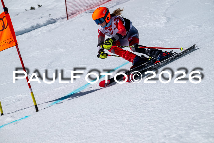 DSV - Actanol Deutscher Schülercup U12 Finale RSX 2026