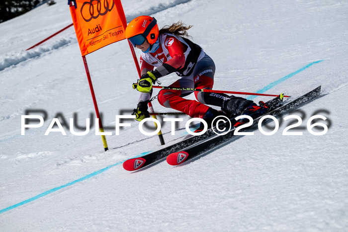 DSV - Actanol Deutscher Schülercup U12 Finale RSX 2026