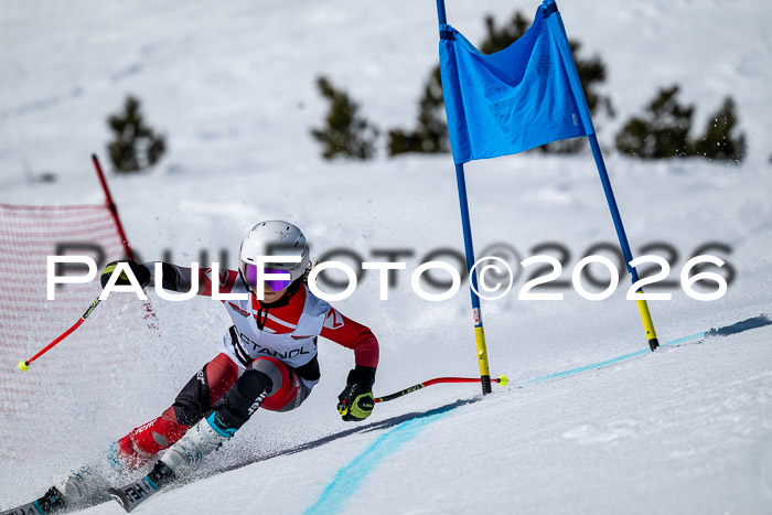 DSV - Actanol Deutscher Schülercup U12 Finale RSX 2026