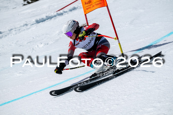 DSV - Actanol Deutscher Schülercup U12 Finale RSX 2026